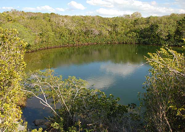 A photograph of Cottage Pond surrounded by lush vegetation on North Caicos, Turks and Caicos Islands, British West Indies