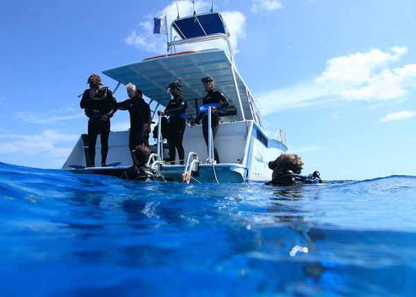 A photograph of Big Blue Collective’s SCUBA Diving, Turks and Caicos Islands, British West Indies